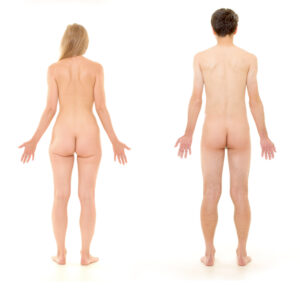 Das Bild zeigt eine nackte Frau und Mann von hinten