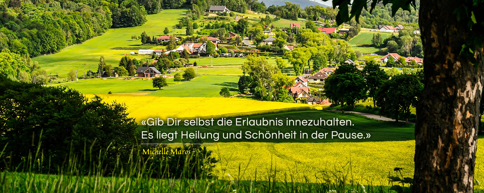 In einem Tal liegt ein Dorf mit roten Ziegeldächern, umsäumt von Bäumen und umrandet von weiten grünen und gelben Feldern